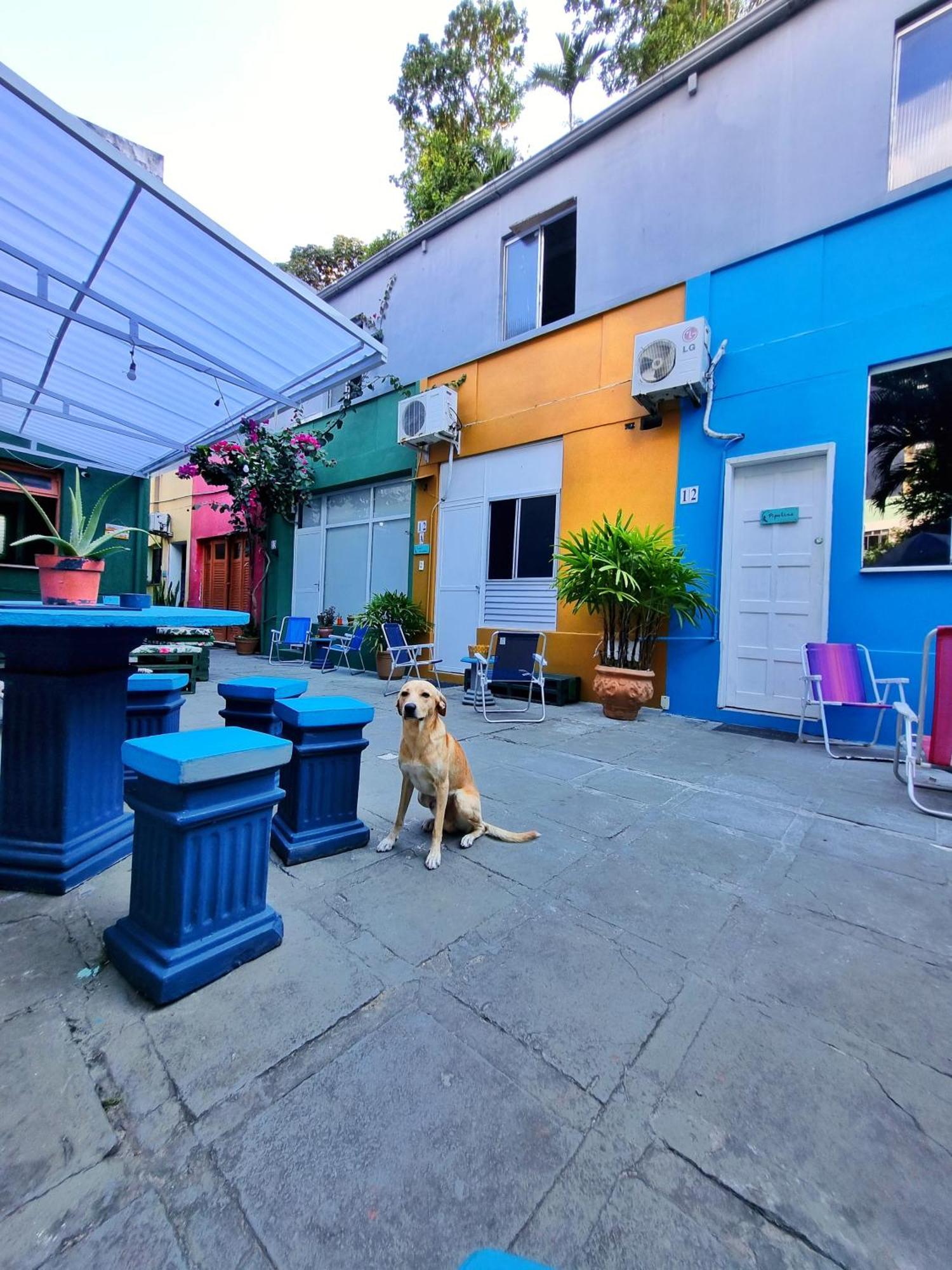 Nomads Multicultural & Coworking Hostal